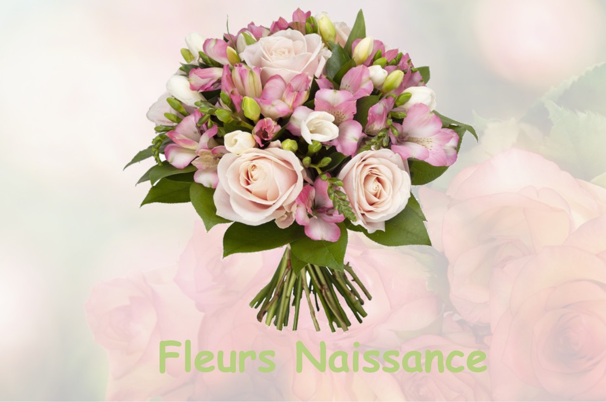 fleurs naissance MONTOUSSIN