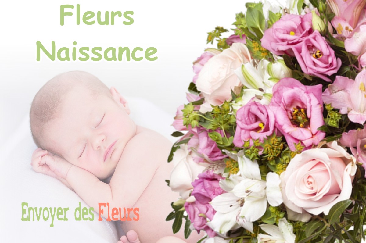 lIVRAISON FLEURS NAISSANCE à MONTOUSSIN